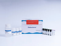 One-step TUNEL Flow Cytometry Apoptosis Kit (Red, Elab Fluor® 594) - MSE Supplies LLC