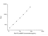 Rat NT-proBNP (N-Terminal Pro-Brain Natriuretic Peptide) CLIA Kit