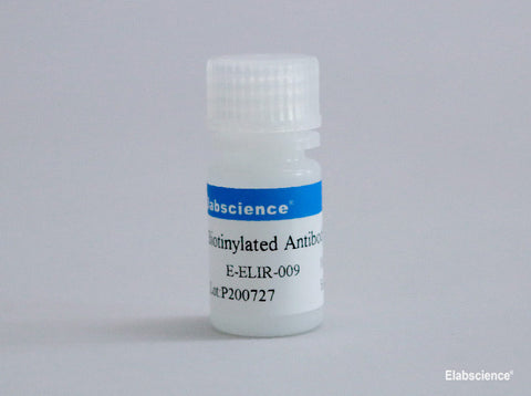 Biotinylated Antibody Stabilizer
