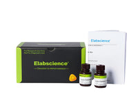 Excellent Chemiluminescent Substrate (ECL) Kit