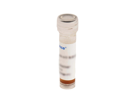 Anti-HA（YPYDVPDYA）Immunomagnetic Beads, 1mL