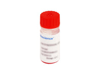 Anti-MYC（EQKLISEEDL） Affinity Agarose, 2mL