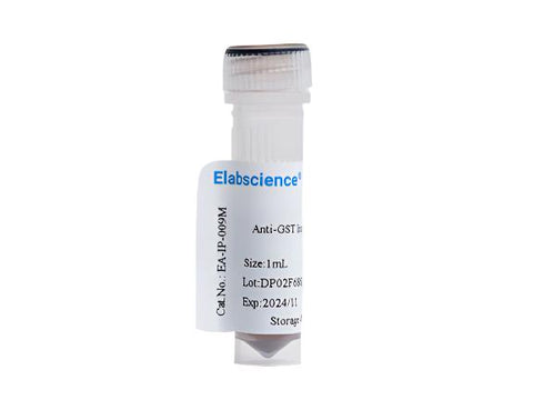 Anti-GST Immunomagnetic Beads, 1mL