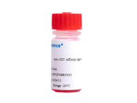 Anti-GST Affinity Agarose
