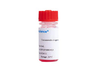 Concanavalin A agarose gel, 2mL