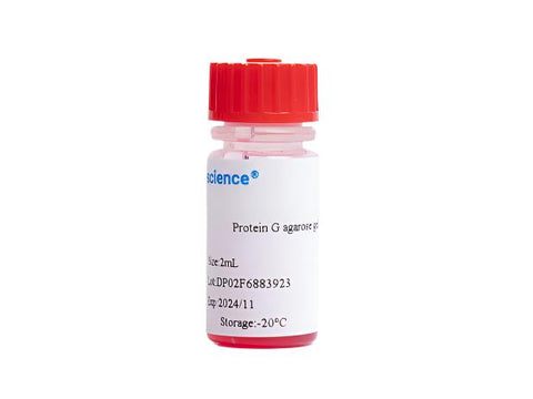 Protein G agarose gel, 2mL