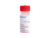 Protein L agarose gel, 2mL