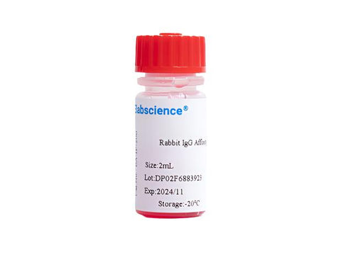 Rabbit IgG Affinity Agarose, 2mL