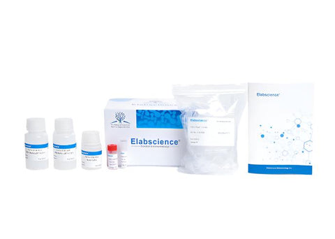 IP/CoIP Kit (Pro A Agarose)