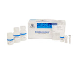 GST pull-downn Kit（Agarose）