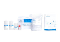 IP/CoIP Kit (Pro G Agarose)