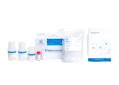 IP/CoIP Kit (Pro G Agarose)