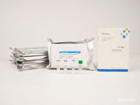 Uncoated Human MCP-1(Monocyte Chemotactic Protein 1) ELISA Kit