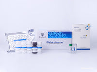 Human IGF-1(Insulin-like Growth Factor 1) ELISA Kit