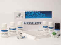 F-TESTO(Free Testosterone) ELISA Kit