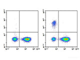 Purified Anti-Human CD19 Antibody[HI19a]
