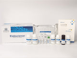 FMN(Flavin mononucleotide) ELISA Kit