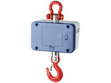 Kern Crane Scale HCD 100K-2 - MSE Supplies LLC