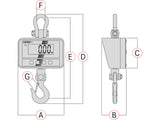 Kern Crane Scale HCD 100K-2D - MSE Supplies LLC