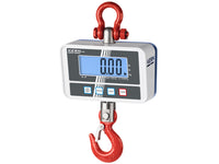 Kern Crane Scale HCD 100K-2D - MSE Supplies LLC