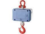 Kern Crane Scale HCD 300K-2D - MSE Supplies LLC