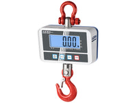 Kern Crane Scale HCD 300K-2D - MSE Supplies LLC