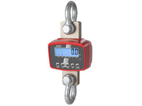 Kern Crane Scale HFD 1T-4IP - MSE Supplies LLC