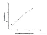 Human ATF6(Activating Transcription Factor 6) ELISA Kit - MSE Supplies LLC