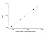 Human BDNF (Brain Derived Neurotrophic Factor) CLIA Kit