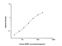 Human BDNF(Brain Derived Neurotrophic Factor) ELISA Kit - MSE Supplies LLC