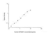 Human CNTNAP1(Contactin Associated Protein 1) ELISA Kit - MSE Supplies LLC