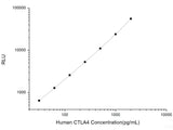 Human CTLA4 (Cytotoxic T Lymphocyte Associated Antigen 4) CLIA Kit