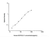 Human ECF/CCL11(Eosinophil Chemotactic Factor) ELISA Kit - MSE Supplies LLC