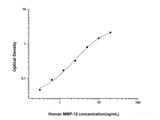 Human MMP-12(Matrix Metalloproteinase 12) ELISA Kit - MSE Supplies LLC