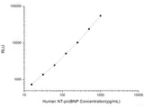 Human NT-proBNP (N-Terminal Pro-Brain Natriuretic Peptide) CLIA Kit