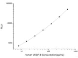 Human VEGF-B (Vascular Endothelial Cell Growth Factor B) CLIA Kit