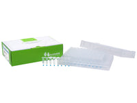 Bioneer AccuPower PCR PreMix (96 T, 20 μl)