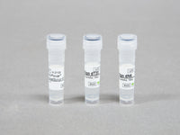 Bioneer AccuPower CycleScript RT Master Mix (2X, 1ml)