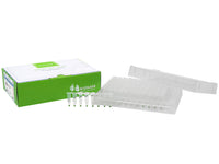 Bioneer AccuPower Multiplex PCR PreMix (96 T, 20 μl)