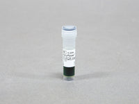 Bioneer AccuPower Multiplex PCR Master Mix (2X, 1ml)