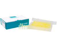 Bioneer AccuPower RocketScript RT PreMix, RNase H Minus (96 T, 20 μl)