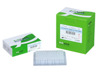 Bioneer AccuPower HotStart Pfu PCR PreMix (480 T, 20 μl)