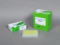 Bioneer AccuPower RocketScript RT-PCR PreMix (480 T, 20 μl)