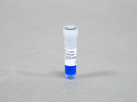 Bioneer AccuPower RocketScript RT-PCR Master Mix (2X, 1ml)