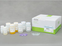 Bioneer AccuPrep PCR/Gel Purification Kit (200 reactions)