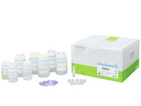 Bioneer AccuPrep Nano-plus Plasmid Mini Extraction Kit (200 extractions)