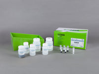 Bioneer MagListo 5M Plasmid Extraction Kit (500 reactions)