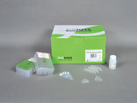 Bioneer ExiPrep Plus Bacteria Genomic DNA Kit