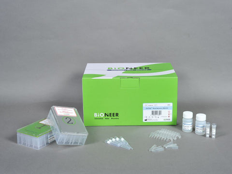 Bioneer ExiPrep Plus Seed Genomic DNA Kit (96 reactions)