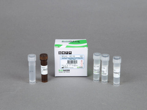 Bioneer AccuPower® Dual-HotStart™ RT-qPCR Master Mix (2X, 2.5 ml)